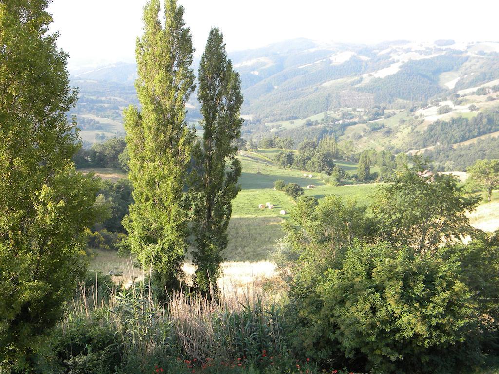 ピエトラルンガ Agriturismo Borgo San Benedettoヴィラ エクステリア 写真