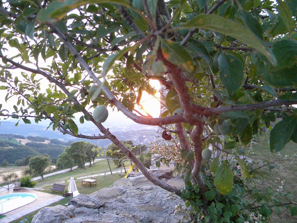 ピエトラルンガ Agriturismo Borgo San Benedettoヴィラ エクステリア 写真